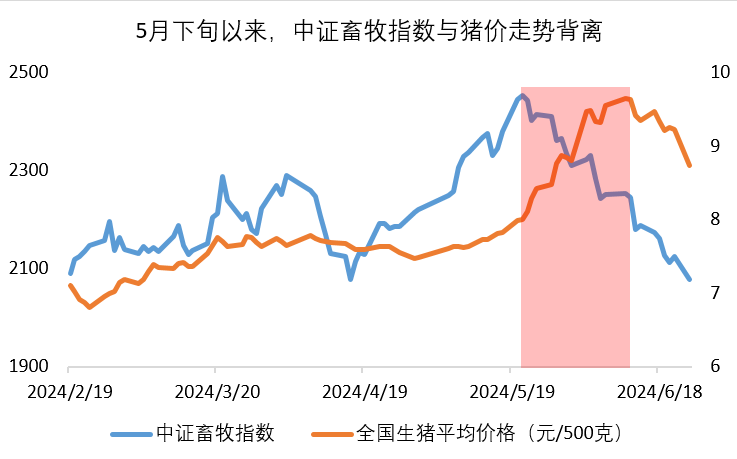 猪价波动加大，原因何在？机构：下半年猪价易涨难跌，盈利或超预期！