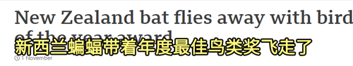 美国选出一匹马当镇长！上一任是只狗、再往前是猫