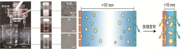 百年难题被攻克 一张神奇的膜成功实现水和油分离 